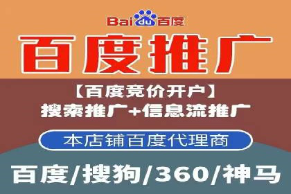 行业领先SEM托管代运营案例